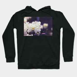 Rhododendron Daze Hoodie